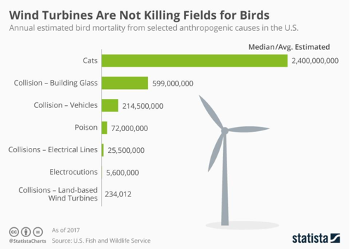 Infografía: Wind Turbines Are Not Killing Fields for Birds | Statista